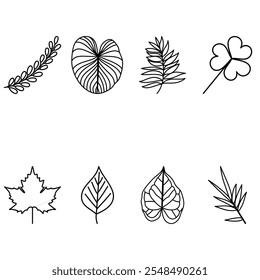 Minimalist Line Icon Various Leaf Shapes Set