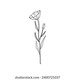 Arte de flores lineal minimalista. Dibujo floral elegante, pequeño elemento botánico, esbozo de tatuaje de línea fina. Diseño de vectores