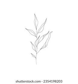 Minimalist linear flower branch. Small ornamental floral element, tiny fine line botanical leaves, tattoo sketch. Vector art