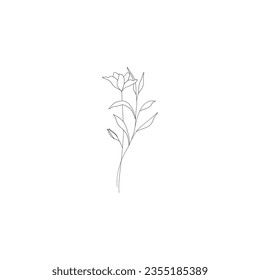 Minimalist linear flower branch. Small ornamental floral element, tiny fine line botanical leaves for tattoo sketch. Vector design
