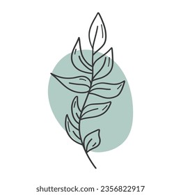 Minimalist linear plant on green spot. Botanical doodle vector. For minimalist postcards, invitations, banners and fabric prints.