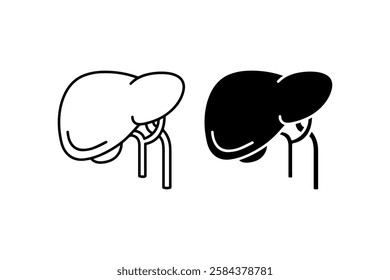 Minimalist liver anatomy illustration Vector