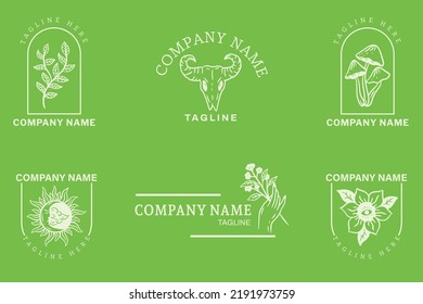 Minimalist Logo Gray Templates Set Mystical Collection Element On Green Pastel Background.
