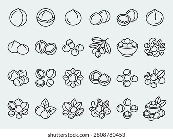Minimalist Macadamia Nut Monoline Vector Icon Collection