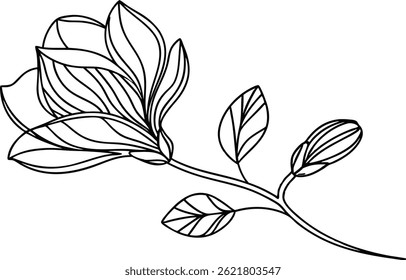 Minimalist Magnolia Flower Line Art Illustration With Leaves And Bud Design