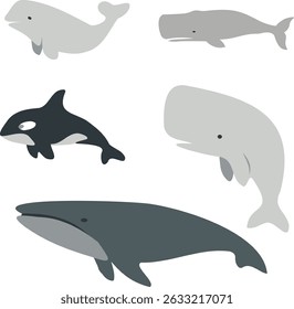 Minimalist marine mammals in solid-fill style: blue, sperm, killer, beluga and grey species. Transparent background. Ideal for branding, education, conservation and digital projects.