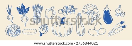 Minimalist Mediterranean hand drawn vegetable vector set. Organic food illustrations for packaging, menus, branding and healthy lifestyle design.