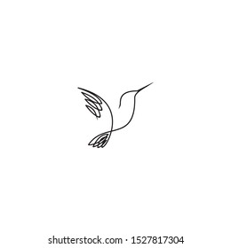 minimalist and modern hummingbird logo