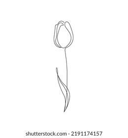 Minimalist and modern line art, flower line drawing illustration