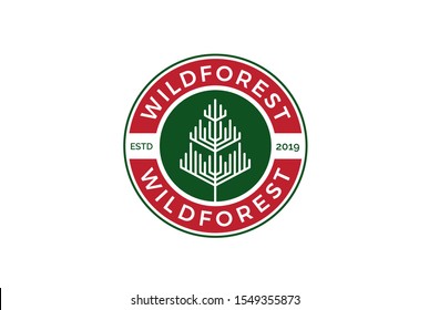 Minimalist modern spruce tree line art logo design vector graphic