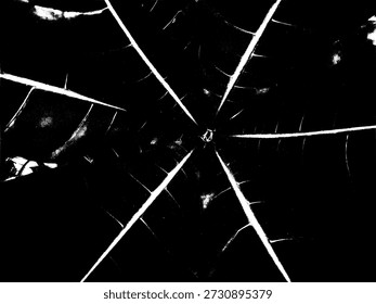 Vector monocromático minimalista de la estructura de la vena de la hoja de manglar. Audaz silueta de alto contraste de patrón botánico costero para diseños de naturaleza moderna.