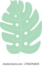 Ilustración vectorial minimalista de hojas de monstera en color verde pastel.