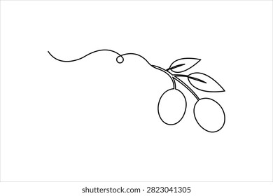 Minimalist Olive Branch Continuous