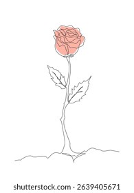 Minimalist one line drawing of a blooming rose with soft pink petals, isolated on white background. A simple and elegant vector illustration representing love, romance and beauty, Editable stroke