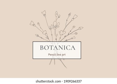 Minimalist one line drawing of blossoms. Graphic sketch of Flowers.  Modern botanics illustration. Stylish vector plant outline. Flower composition for cosmetics, flower shop