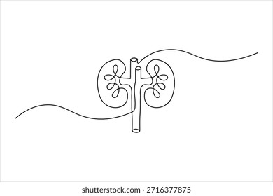 Desenho minimalista de uma linha de rins humanos e estrutura vascular central em uma linha ondulada contínua para projeto médico e de saúde.