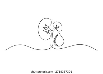 Desenho minimalista de uma linha de rins humanos e uma gota de água em uma linha ondulada contínua representando saúde renal e hidratação.
