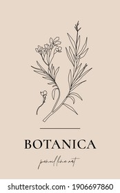 Minimalist one line drawing plant. Hand drawn illustrations of leaves. Modern botanics illustration. Stylish vector plant outline
