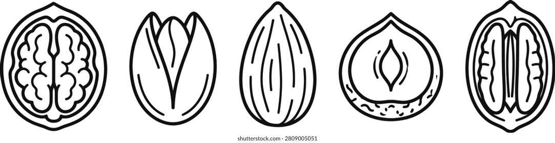 Minimalist Opened Nuts Icons, Cracked Walnut Split Pistachio Halved Hazelnut Outlines
