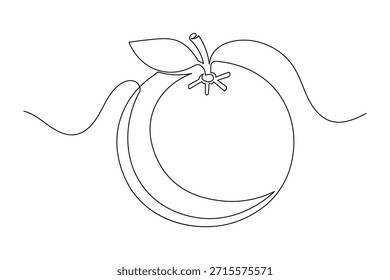 Minimalist orange citrus fruit continuous line drawing simple style outline