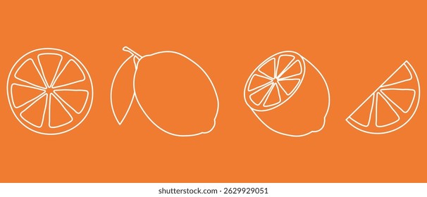 Minimalist Orange Citrus Fruit Vector