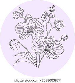 Arte de linha de orquídea minimalista em um fundo roxo pastel, perfeito para desenhos de decoração, marca ou tatuagem