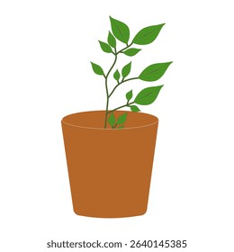 Minimalist Organic Potted Plant Illustration, Flat Design Green Leaf Plant in Simple Pot Isolated on White. Sustainable July Concept