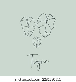 Ilustración vectorial minimalista delineada, letras tropicales, hojas exóticas de la selva grande