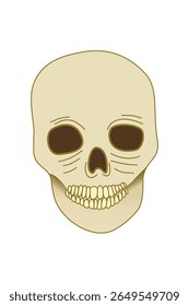 Minimalist Pale Skull Illustration for T-Shirt and Halloween Design