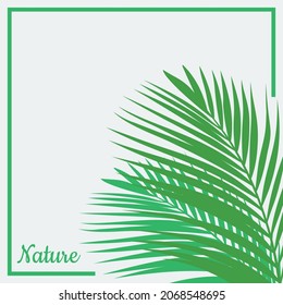 Minimalist palm leaf vector illustration