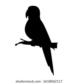 Minimalist Parrot Silhouette Vector Illustration