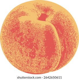 Minimalist peach fruit drawing, vintage hand-drawn vector with textured details. Great for eco-friendly design projects, fruit-themed patterns, or food illustrations.