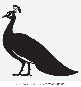 a minimalist peacock silhouette vector illustration, isolated white background.