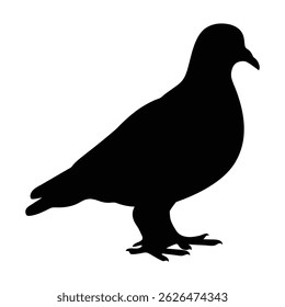 Ilustração minimalista do vetor da silhueta do pombo