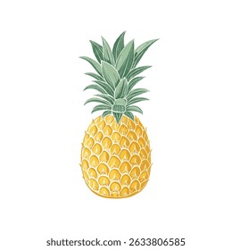 Minimalist Pineapple Vector Simple Fruit Illustration Isolated on White Background