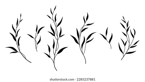 Minimalist plant elements for wedding decor, invitations, greeting cards, logos, blogs, web, posters.
Botanical rustic trendy greenery. Isolated vector illustration