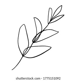 Minimalist plant. Single continuous art leaf branch. Eco natural design concept, one line, outline drawing, vector illustration.