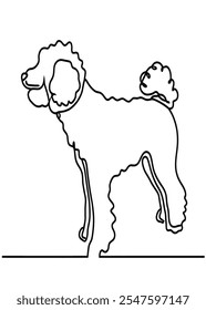 Minimalist Poodle Dog Line Drawing