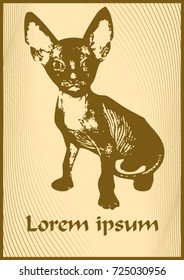 Minimalist poster design. Stylized kitten of the Sphynx breed
