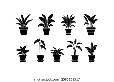 Minimalist Potted Plant Icon Collection – Indoor Plant Graphics