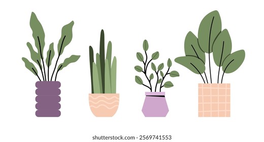 Minimalist potted plants with decorative vases on a white background. Vector set of Flower Pots