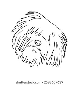 Minimalist puli dog logo design. Modern line art, vector, graphic, icon, illustration