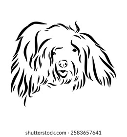 Minimalist puli dog logo design. Modern line art, vector, graphic, icon, illustration