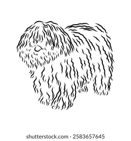 Minimalist puli dog logo design. Modern line art, vector, graphic, icon, illustration