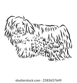 Minimalist puli dog logo design. Modern line art, vector, graphic, icon, illustration