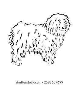 Minimalist puli dog logo design. Modern line art, vector, graphic, icon, illustration