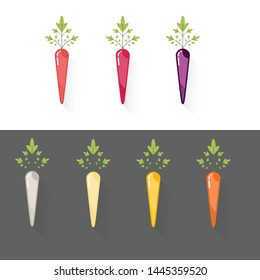 Minimalist Rainbow Carrot Icon Set With Subtle Infinite Shadow On White and Dark Grey Background. 