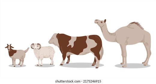 Minimalist realistic vector illustration of goat, sheep, cow and camel in flat design style as elements of farm animal