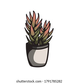 Minimalist red and green plant with white pot on white background 