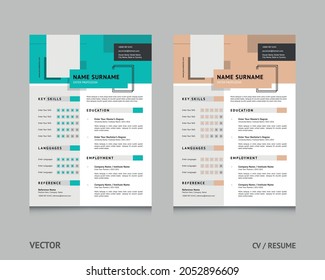 Minimalist Resume Template CV Format in Two Color